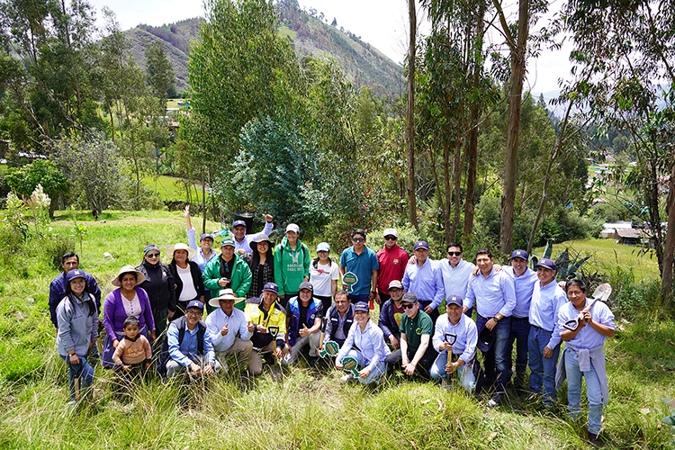 HUELLA VERDE: 2000 árboles de capulí fueron plantados en el caserío Huambocancha Chica
